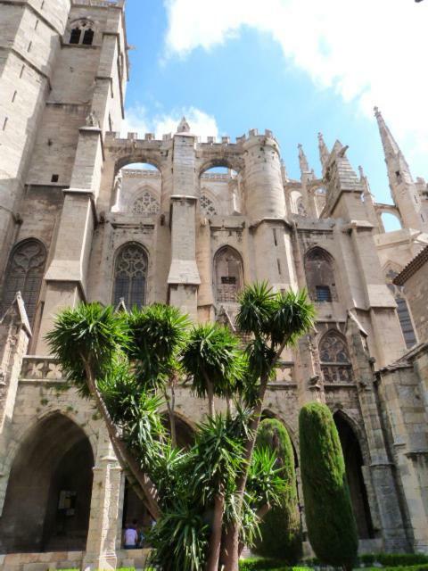 شقة ناربون  في A L'Ombre De La Cathedrale المظهر الخارجي الصورة
